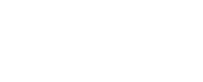 Tet4D Logo